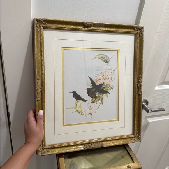 Original antique hummingbird lithograph With Gold Frame